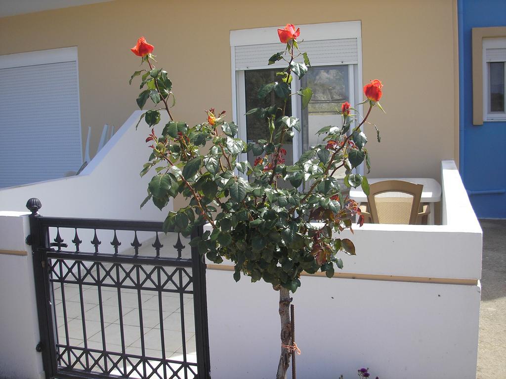Nephele Apartments Faliraki Zewnętrze zdjęcie