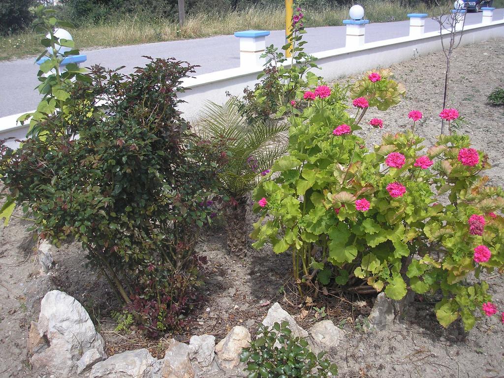 Nephele Apartments Faliraki Zewnętrze zdjęcie